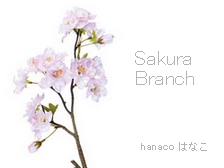 sakura-branch