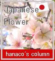japan-flower