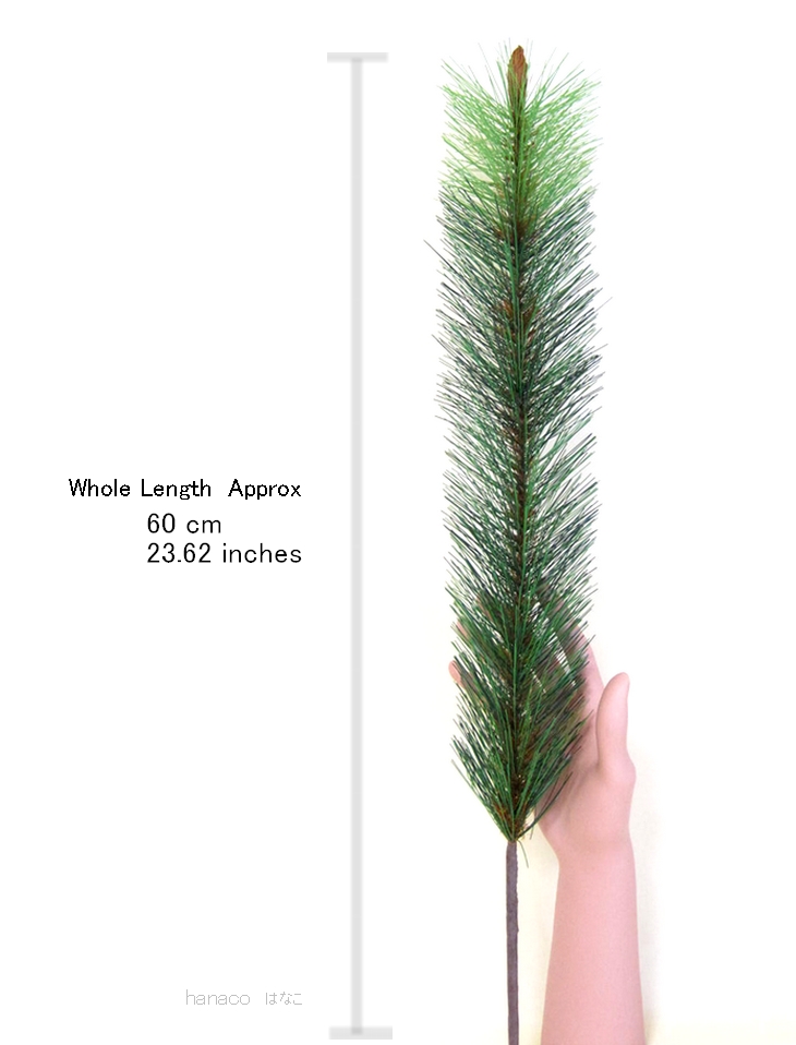 Single Pine Size