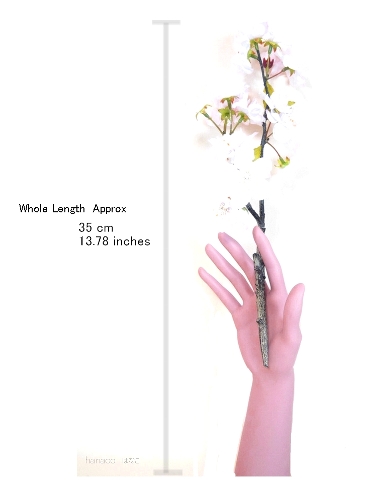 Sakura-Blanch Size