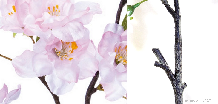 Sakura-Blanch Detail
